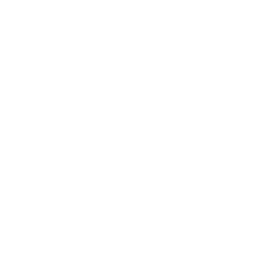 Thamyres Duarte Faria – OAB/MG 174.874